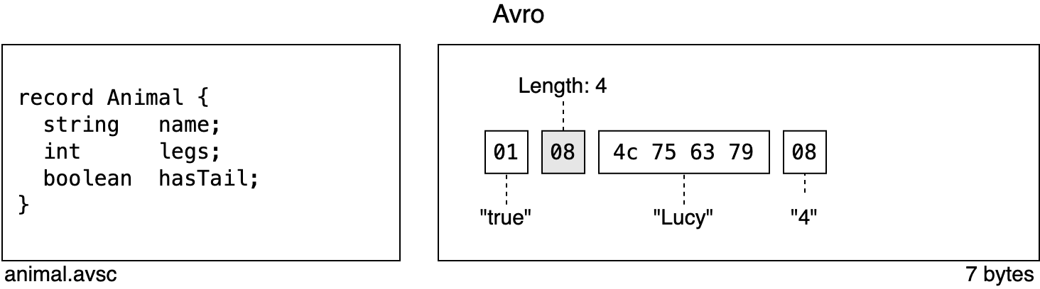 A serialized Avro record and its associated schema to demonstrate the use of tags
